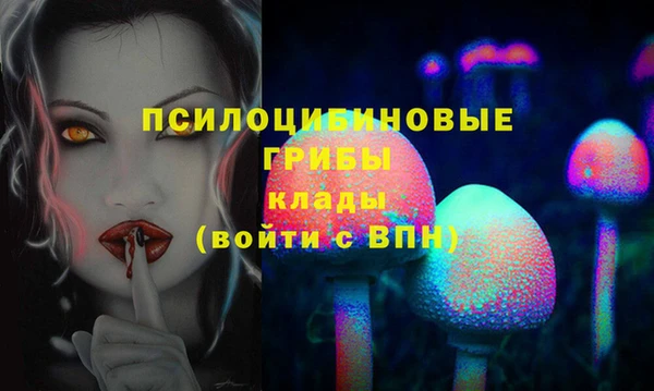 соль ск Нефтегорск