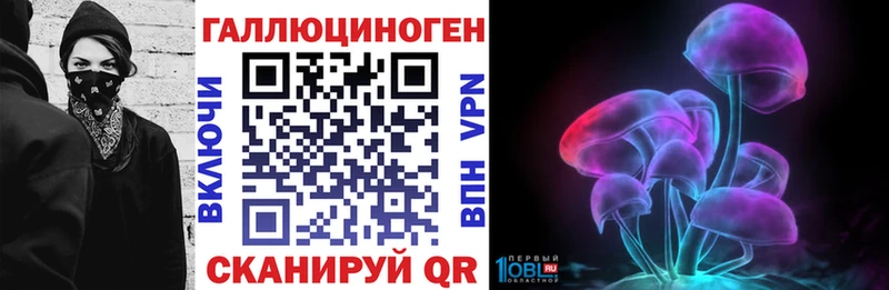 omg   Злынка  Галлюциногенные грибы мицелий 