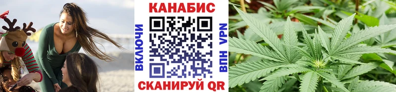 Канабис планчик  купить наркоту  Злынка 